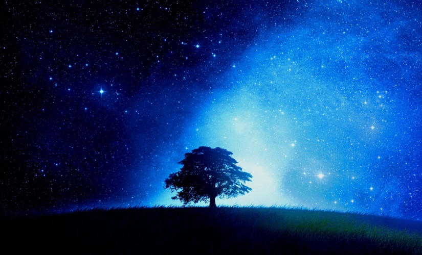 Dream Scene a tree at night
